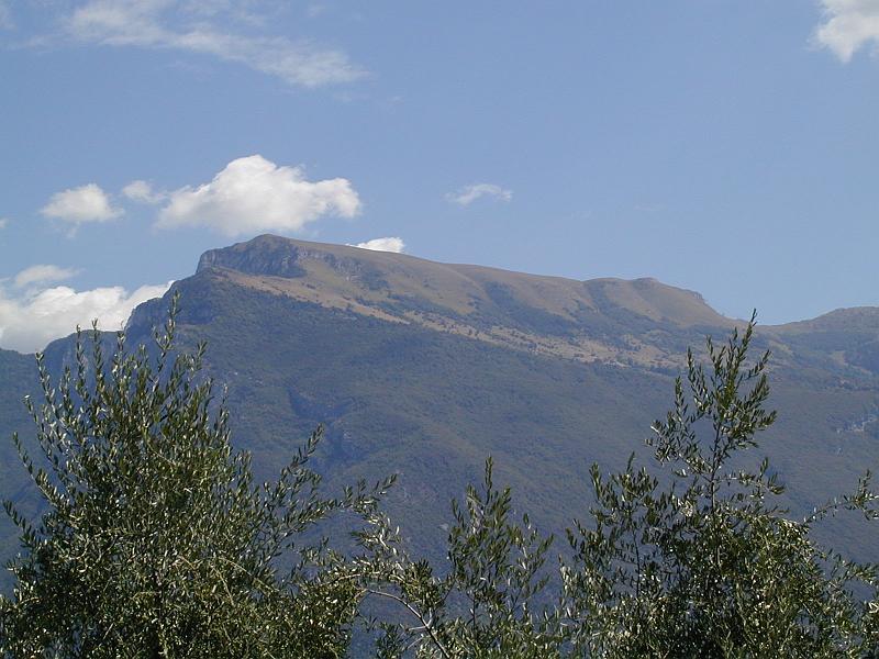 PIC00018.JPG