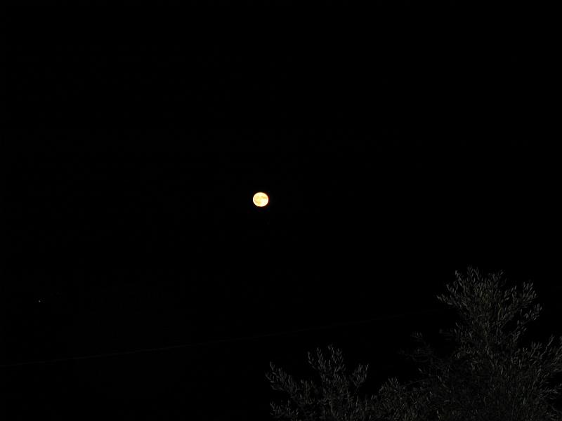 PIC00239.JPG