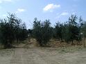 PIC00133