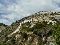 PIC00221
