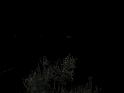 PIC00240