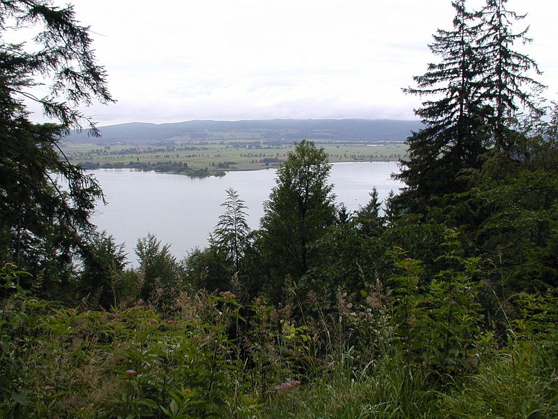 PIC00002.JPG